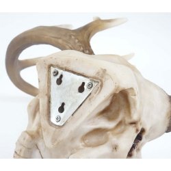 Hjortekranie med gevir - stort jagttrof som vgdekoration - Hjort