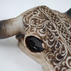 Tyrekranie med horn - lille jagttrof som vgdekoration - Tyr med dekoration