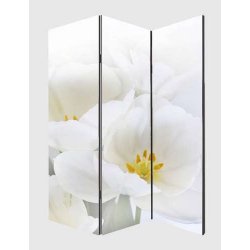 Rumdeler med 2 orkide motiver - foldbar sk�rmv�g/skillev�g 180 x 120 cm