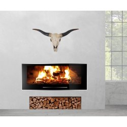 Tyrekranie med horn - stort jagttrof som vgdekoration - Tyr