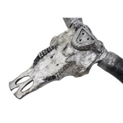 Tyrekranie med horn - stort slvfarvet jagttrof - Tyr med lange horn