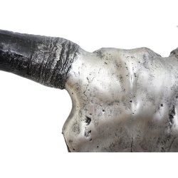 Tyrekranie med horn - slvfarvet jagttrof som vgdekoration - Tyr